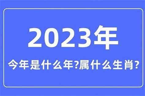 2005是什麼年|2005年